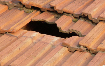 roof repair Potters Green